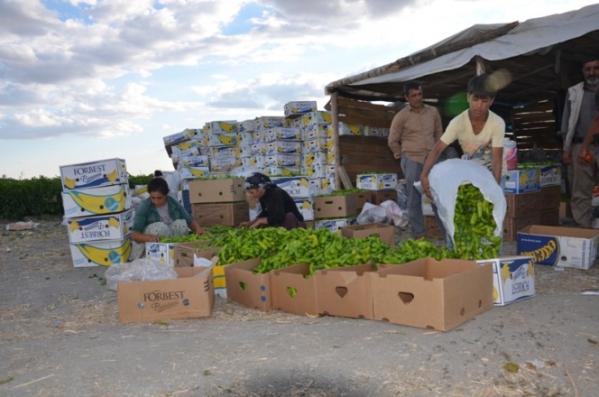 ????????????????????????????????????