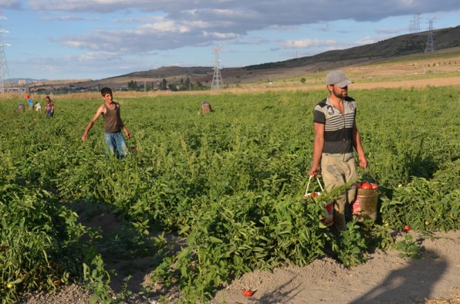 ????????????????????????????????????